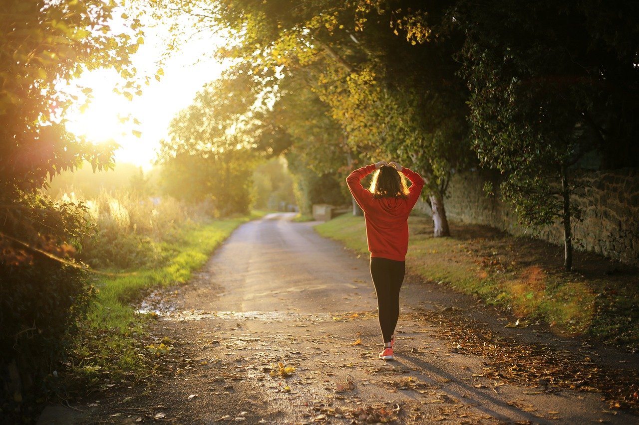 Physical Fitness in US Schools and Homes